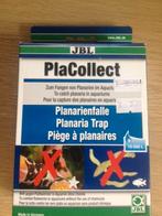 planaria val diverse soorten, Dieren en Toebehoren, Ophalen, Nieuw, Overige typen