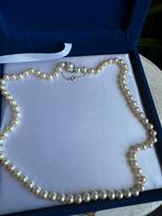 pearl necklace with 925 sterling silver clasp, Verzenden, Zo goed als nieuw, Zilver