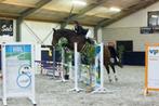 LIEFSTE en MAKKELIJKSTE allrounder, Dieren en Toebehoren, Paarden, Z, Gechipt, Ruin, Dressuurpaard
