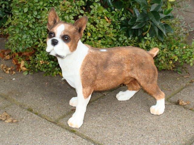 Boxer van kunststof, Verzamelen, Beelden en Beeldjes, Nieuw, Dier, Ophalen of Verzenden