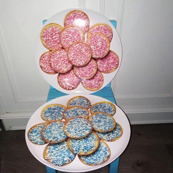 Beschuit met muisjes schaal 1xroze 1xblauw zie omschrijving, Kinderen en Baby's, Kraamcadeaus en Geboorteborden, Gebruikt, Geboortebord