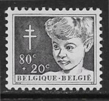 België 1954    TBC  1005   (Pfr) beschikbaar voor biedingen