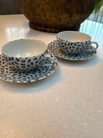 Mooi kop en schotel setje, Ophalen of Verzenden, Zo goed als nieuw, Overige stijlen, Kop(pen) en/of Schotel(s)