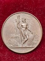 Penning 1823 Haarlem 400 jaar boekdrukkunst costerfeest, Postzegels en Munten, Penningen en Medailles, Ophalen of Verzenden, Brons