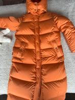 NIEUW Woolrich Lange Aurora parka van stretchnylon, Ophalen of Verzenden, Nieuw