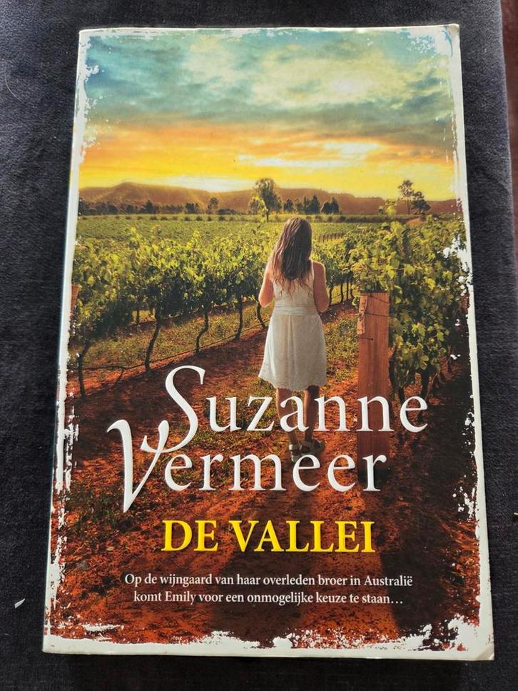 Suzanne Vermeer - De Vallei (boek), Boeken, Romans, Gelezen, Nederland, Ophalen of Verzenden