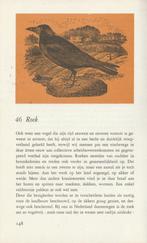 ZONDAGSVOGEL - Bert Garthof, Boeken, Natuur, Nieuw, Vogels, Ophalen of Verzenden