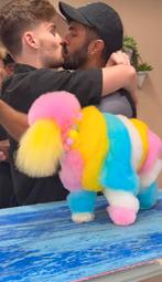 Honden make-over! Dm of bek me voor meer informatie, Hobby en Vrije tijd, Kostuums, Theaterbenodigdheden en LARP, Ophalen of Verzenden