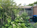 Gezocht tuinman/vrouw, Diensten en Vakmensen, Tuinmannen en Stratenmakers