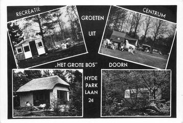 (388-409-027) Doorn Het Grote Bos beschikbaar voor biedingen