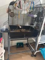 Vogelkooi op wielen bieden, Ophalen of Verzenden