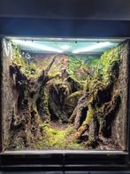 Dutch rana paludarium (groot)inc waterval, Ophalen