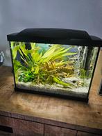 Aquarium 40 liter met verwarming en filter, Ophalen, Zo goed als nieuw, Leeg aquarium