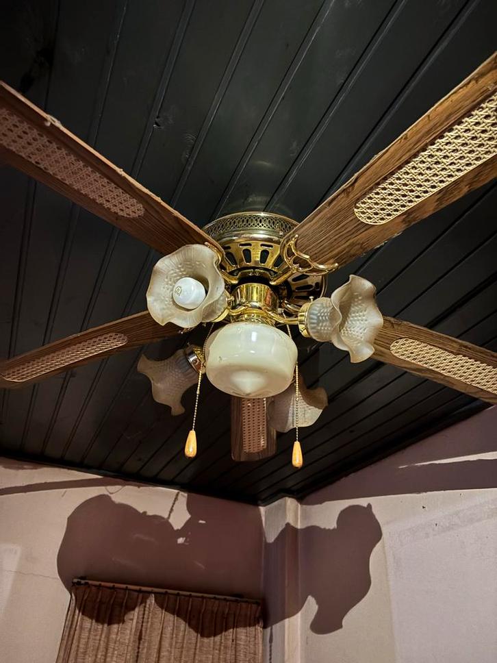 GRATIS!! Plafondventilator met verlichting, Huis en Inrichting, Lampen | Hanglampen, Gebruikt, Minder dan 50 cm, Hout, Ophalen