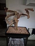 Javaboom tk, Dieren en Toebehoren, Ophalen