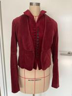 *Josephine & Co 38 fluweel gilet en blazer *, Kleding | Dames, Ophalen of Verzenden, Zo goed als nieuw, Maat 38/40 (M)