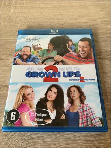 Blu-ray Grown Ups 2 - NL-Uitgave beschikbaar voor biedingen