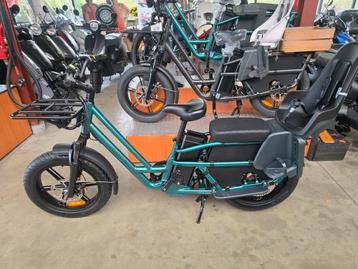 Fiido T2 longtail fatbike family cargo bezorg mama fiets  beschikbaar voor biedingen