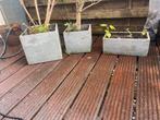 Diverse plantenbakken betonlook, Ophalen, Gebruikt, Minder dan 30 cm, Minder dan 60 cm