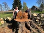 Gratis: bomen om te kappen voor brandhout, Tuinonderhoud of Snoeiwerk