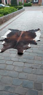 KOEIEN TAPIJT groot formaat, Ophalen, 200 cm of meer, Zo goed als nieuw, 200 cm of meer