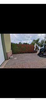 Tuin leeg halen en afvoeren?, Diensten en Vakmensen, Tuinmannen en Stratenmakers, Garantie, Tuinontwerp