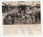 Vliegtuig Silver City Airlines Londen laadt koeien schiphol, Gebruikt, Verzenden, Foto, 1940 tot 1960