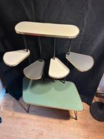 Vintage mid-century plantentafel., Ophalen