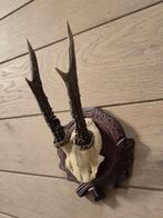 Prachtig Ree Gewei bewerkt schild jacht mancave kerst e65, Verzamelen, Ophalen of Verzenden, Zo goed als nieuw, Hert, Gewei of Kop