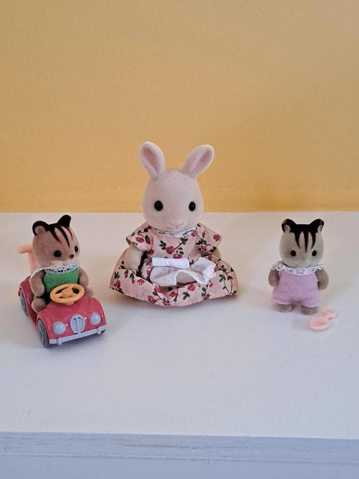 Sylvanian Families Speelset, Kinderen en Baby's, Speelgoed | Poppen, Zo goed als nieuw, Overige typen, Ophalen of Verzenden