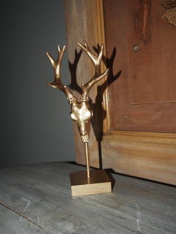 Kleine Skull op voet beschikbaar voor biedingen