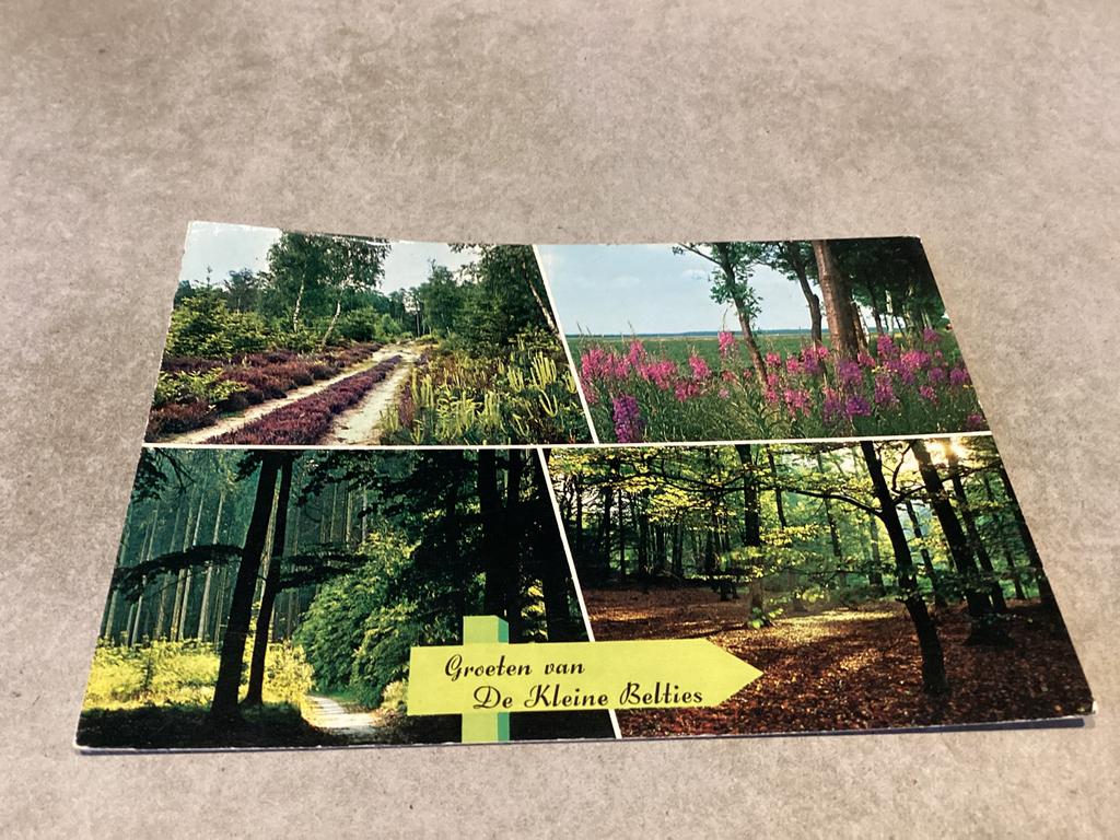 Hardenberg.      Camping ,, De Kleine Belties”, Ophalen of Verzenden, 1960 tot 1980