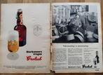64 Grolsch bier advertenties uit 1952 tm 1985, Ophalen of Verzenden, Gebruikt, Overige typen, Grolsch