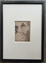 Jan Mankes 1889-1920 / Heliogravure Puttertje op Tak 1923, Antiek en Kunst, Ophalen of Verzenden