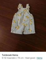 Meisjeskleding maat 74 bundel, Kinderen en Baby's, Babykleding | Maat 74, Ophalen of Verzenden, Gebruikt, Meisje, Setje