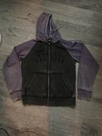 Harley Davidson dames vest Maat L, Ophalen of Verzenden, Zo goed als nieuw, Zwart