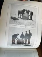 Nederlands mobilisatie Torpedisten KPT Jo Mussert tijdschrif, Verzamelen, Ophalen of Verzenden, Nederland, Embleem of Badge