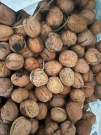 Walnoten 20 kilo. 2025, Ophalen