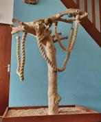 Echte javaboom voor grote papegaaien., Dieren en Toebehoren, Vogels | Toebehoren, Ophalen, Zo goed als nieuw, Overige typen