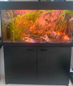 Compleet aquarium met meubel, Ophalen, Gevuld zoetwateraquarium