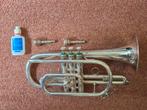 Cornet Roy Benson CR-202S, Ophalen of Verzenden, Zo goed als nieuw, Bes-trompet
