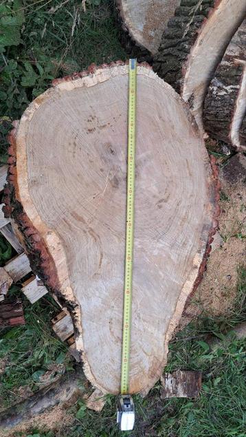 Eiken Boomstam Schijven tafeltje sierhout sidetable beschikbaar voor biedingen