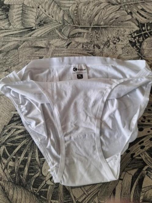 SLIPS, Dames Kruidvat, wit, XL 44/46 Nieuw, Kleding | Dames, Ondergoed en Lingerie, Slip, Wit, Ophalen