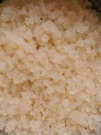 Biologische waterkefir korrels, Diversen, Levensmiddelen, Ophalen