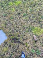 Vishengel met molen - Winkelpikker, Ophalen