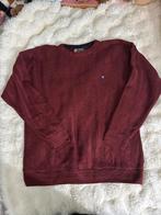 Ralph Lauren trui, Kleding | Heren, Truien en Vesten, Maat 52/54 (L), Verzenden, Ralph Lauren, Gedragen