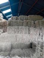Te koop kleine hooi balen., Dieren en Toebehoren, Ophalen of Verzenden, Vee