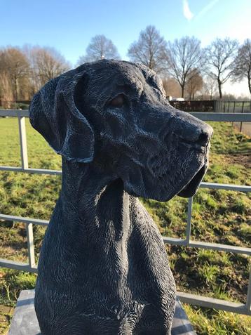Duitse dog 106cm 200kg gegoten steen Duitse dog danish dogo beschikbaar voor biedingen