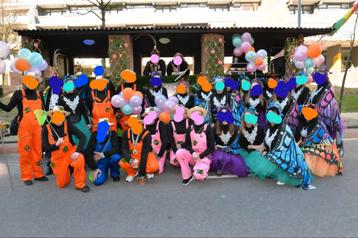Carnavals loopgroep vlinders en tuinmannen beschikbaar voor biedingen