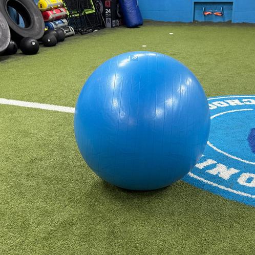 Gymnastiekbal - Fitnessbal - 85 cm - Groot (292), Sport en Fitness, Fitnessmaterialen, Gebruikt, Fitnessbal, Ophalen